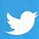 Twitter Icon